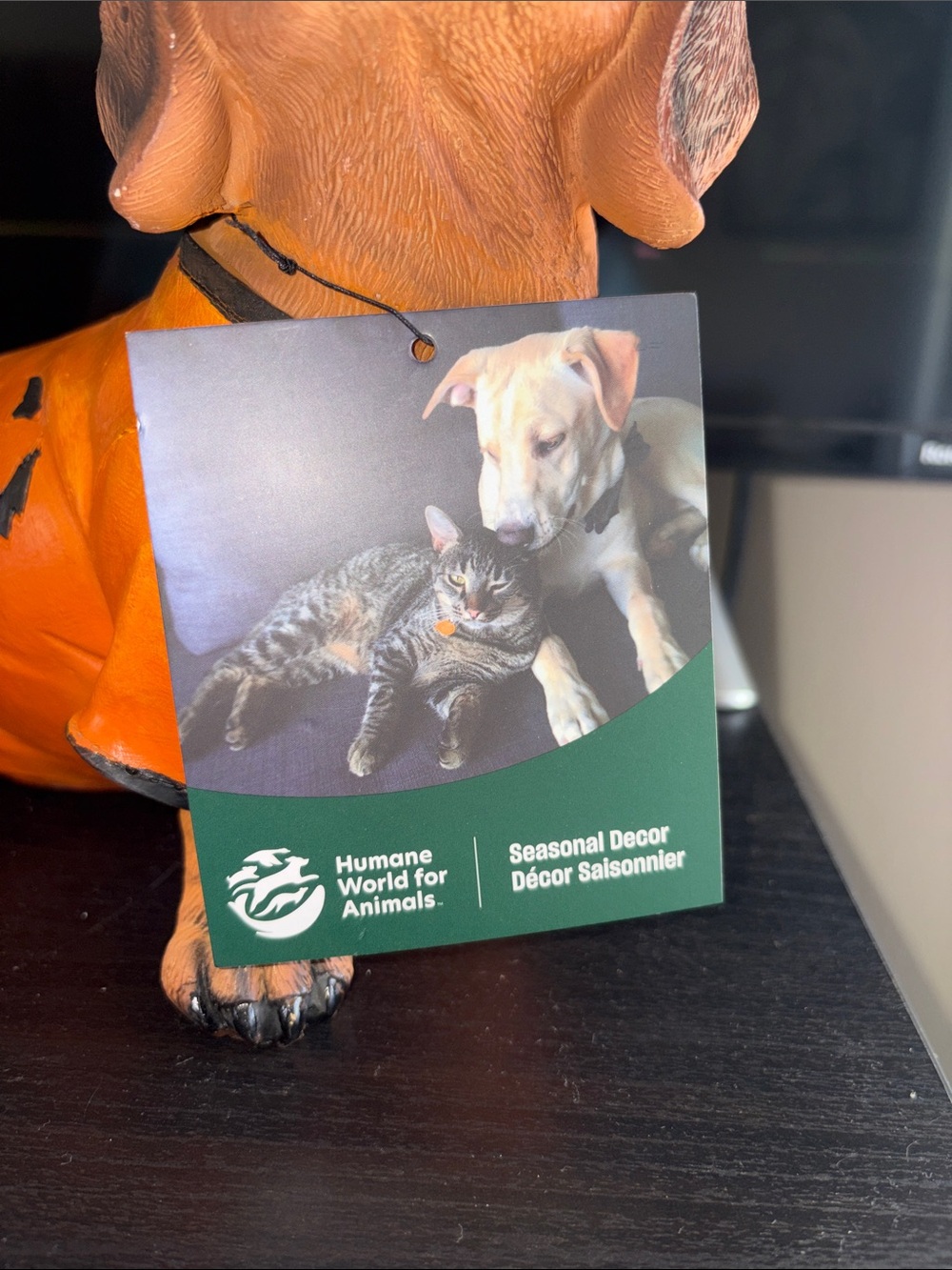 Festive Orange Dachshund Halloween Figurine with Witch Hat - Picture 7 of 9